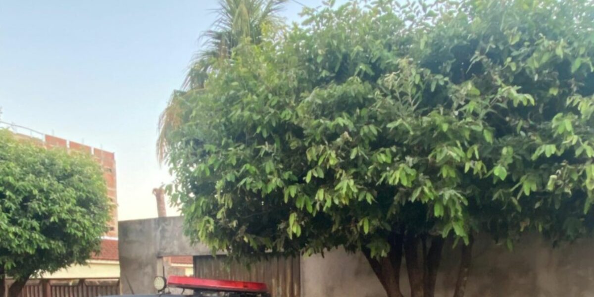 PCGO prende dupla suspeita de roubar frequentadores de cachoeira em Águas Lindas