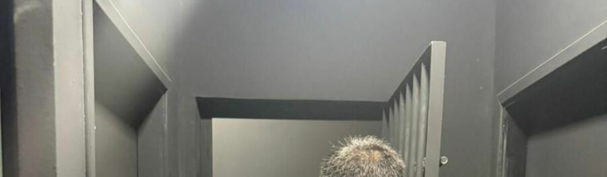 PCGO prende em Piracanjuba homem que voltou a agredir companheira após sair da prisão