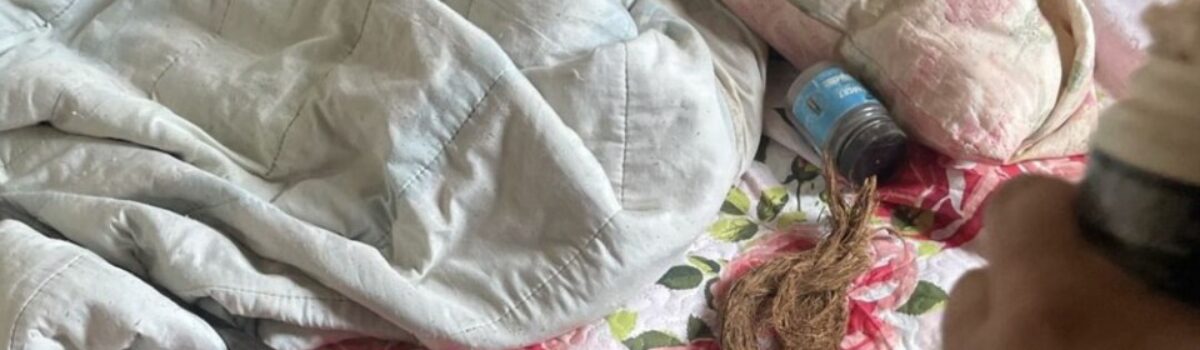 PCGO prende homem em flagrante por agressões, ameaças e posse ilegal de armas em Araguapaz