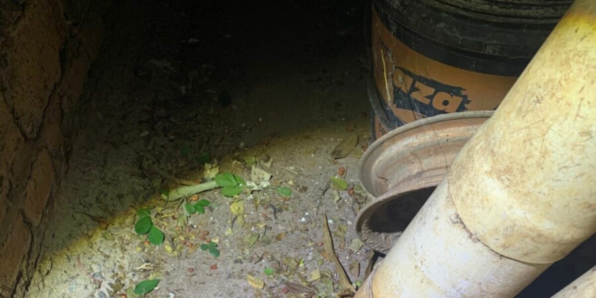 PCGO prende homem por furto de energia elétrica em Goianésia