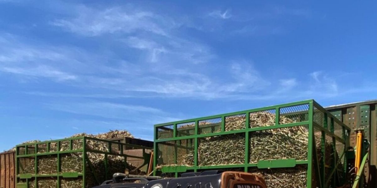 PCGO prende líder de organização criminosa especializada em roubo de tratores e implementos agrícolas