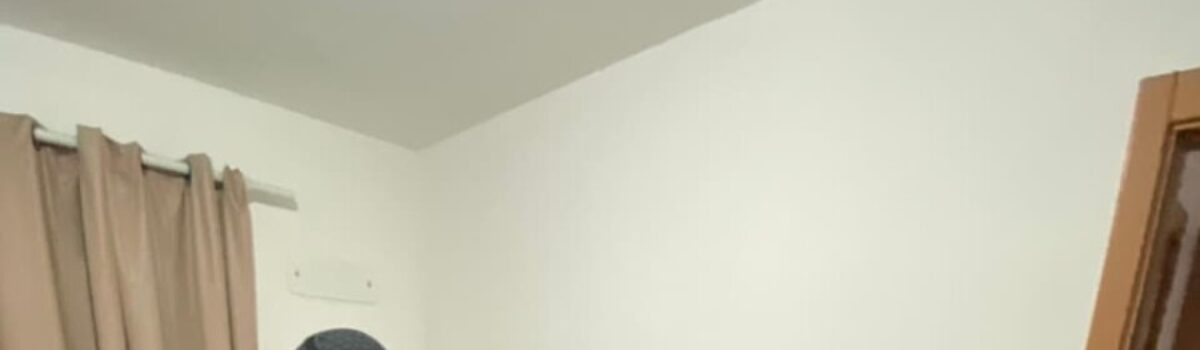 PCGO prende suspeito de aplicar “golpe do falso intermediário” na venda de gado a vítima de Padre Bernardo