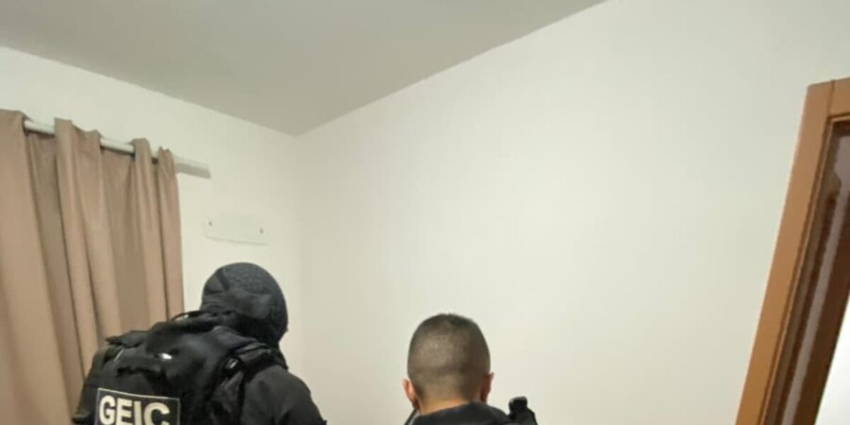 PCGO prende suspeito de aplicar “golpe do falso intermediário” na venda de gado a vítima de Padre Bernardo