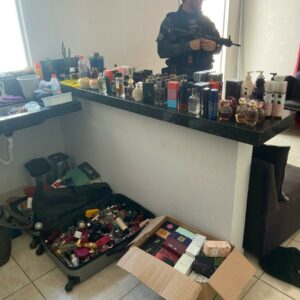 Polícia Civil cumpre buscas e apreende cosméticos e perfumes furtados de empresa em Morrinhos