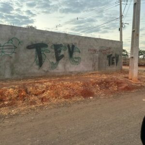 Polícia Civil deflagra Operação Invasores e prende membros de torcida organizada