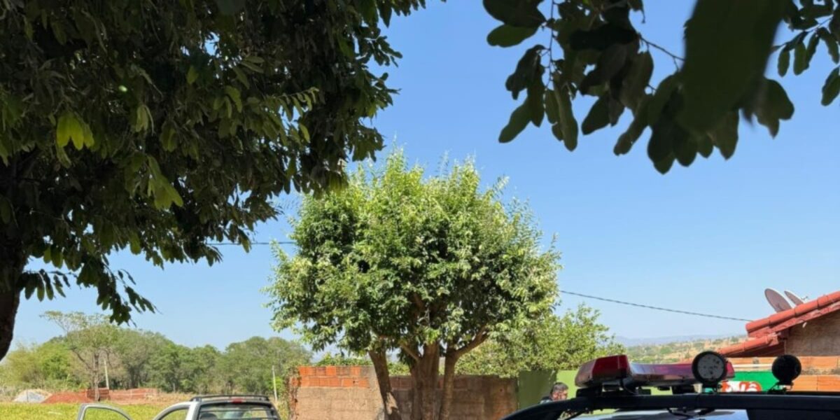 Polícia Civil prende em flagrante autor de furto de hidrômetro após comunicação da Saneago