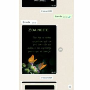 Polícia Civil prende investigado por manipular emocionalmente idosa holandesa e aplicar golpe de quase R$ 300 mil