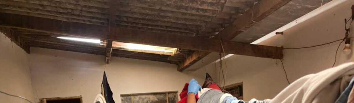 Polícia Civil prende suspeito de homicídio ocorrido em distribuidora de bebidas de Planaltina