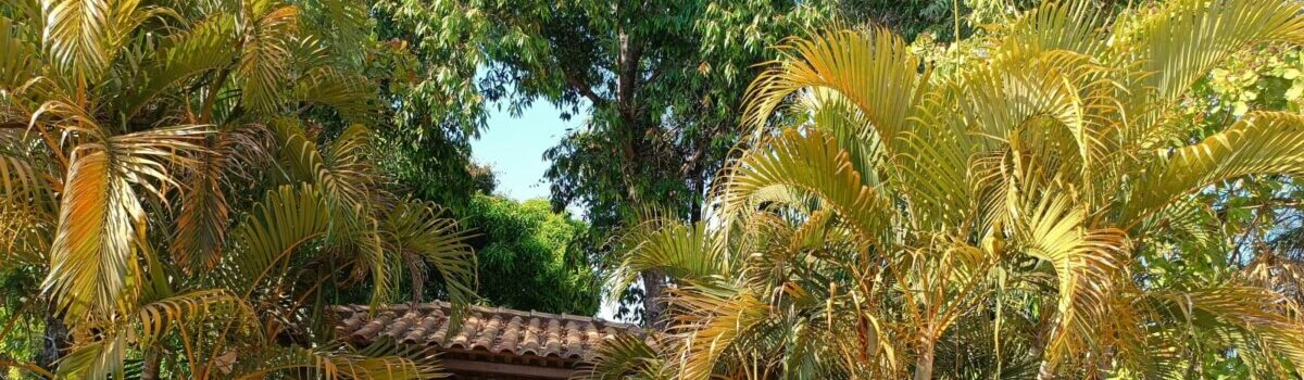 Polícia Civil faz operação em clínica irregular que internava pacientes compulsoriamente, em Abadia de Goiás