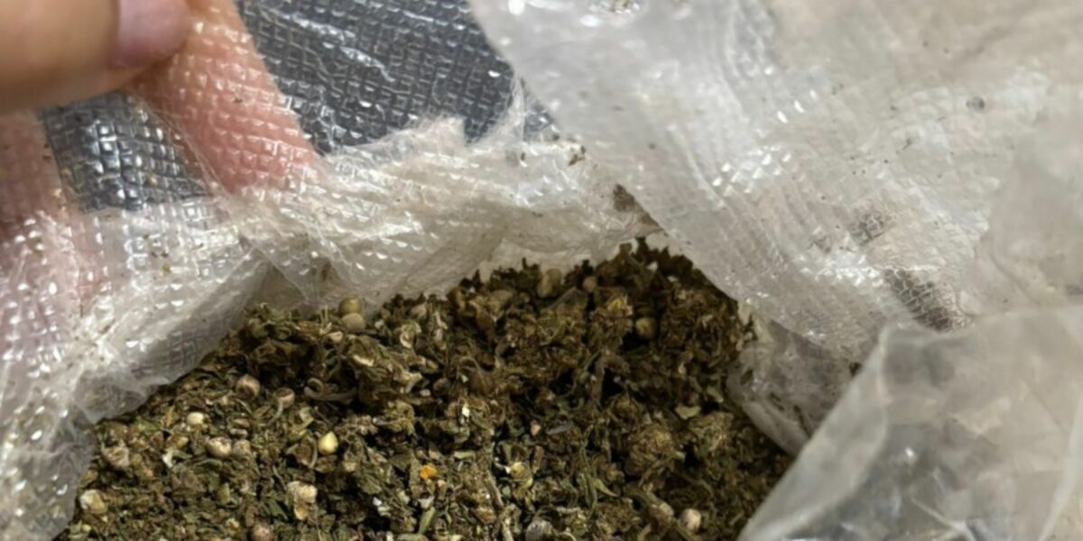 PCGO prende três integrantes de associação para o tráfico de drogas em Quirinópolis