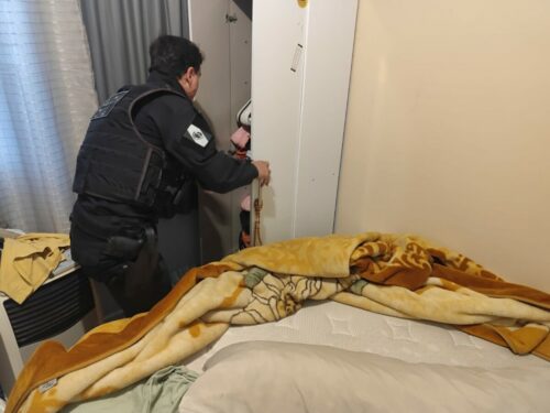 ‘Agrofraude’: PCGO cumpre mais de 80 medidas judiciais em 9 estados brasileiros contra grupo envolvido em golpe do falso intermediário de grãos