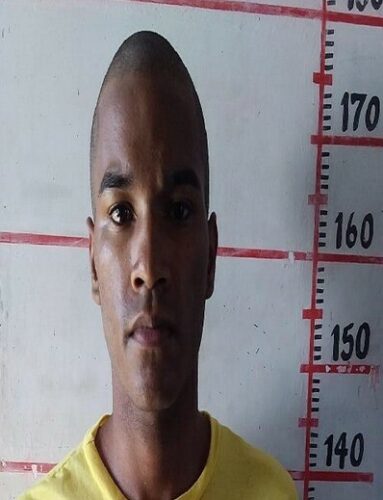 Operação Cerrado: Polícia Civil de Goiás prende integrantes de grupo criminoso responsável por homicídio ligado ao tráfico de drogas em Goiânia