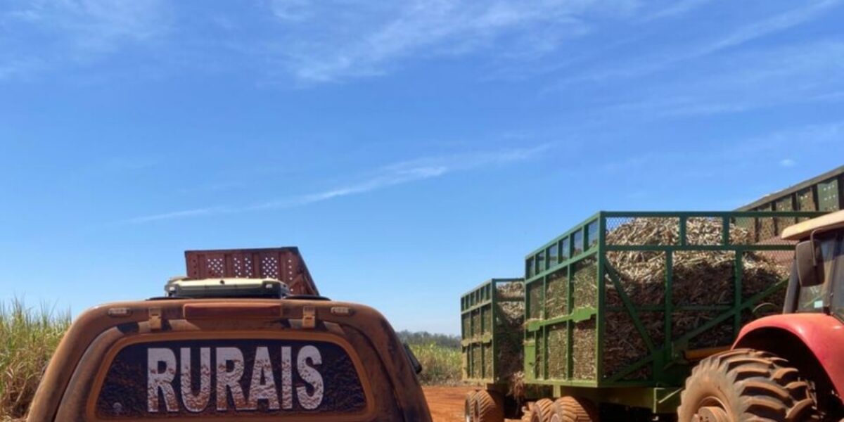 Operação  Guardiões do Campo:  PCGO prende autor de latrocínio brutal ocorrido em zona rural de Goiás