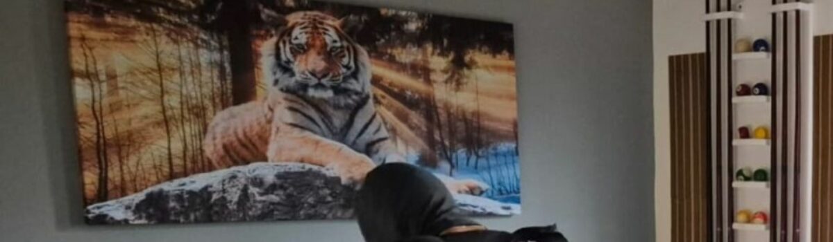 Operação Saldo Negativo cumpre busca domiciliar e investiga ex-gerente de banco por movimentar fraudes usando mais de 50 contas-correntes de clientes