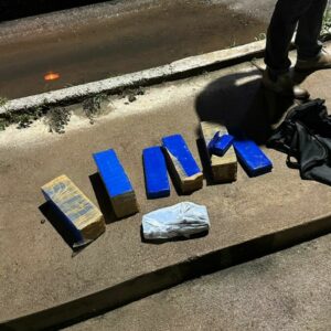 PCGO apreende 14kg de maconha e prende dois indivíduos por tráfico de drogas em Campos Belos