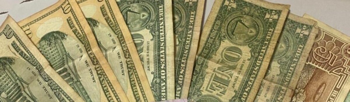 PCGO apreende drogas, dinheiro estrangeiro e pássaro silvestre durante prisão por tráfico em Valparaíso