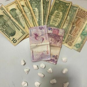 PCGO apreende drogas, dinheiro estrangeiro e pássaro silvestre durante prisão por tráfico em Valparaíso