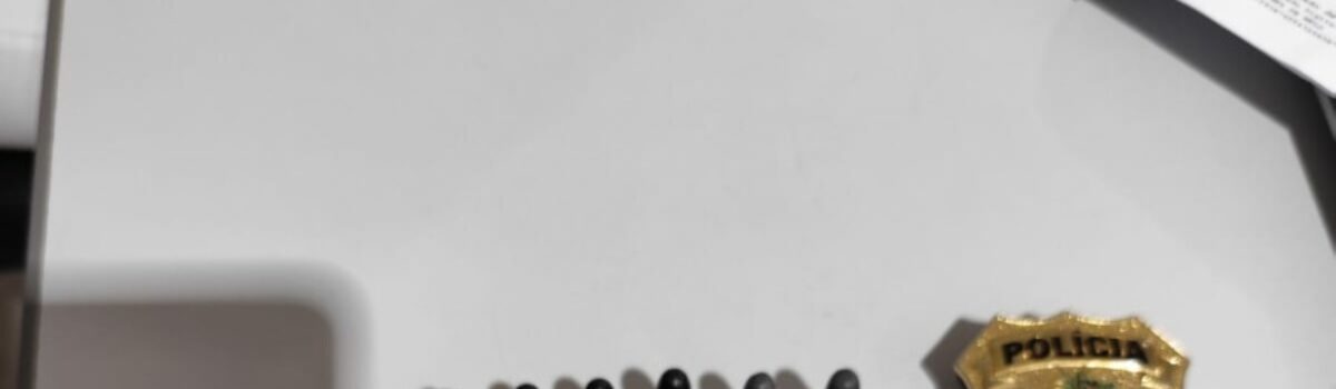 PCGO cumpre mandado de busca e apreensão e prende investigado em flagrante com arma de fogo, em Mozarlândia