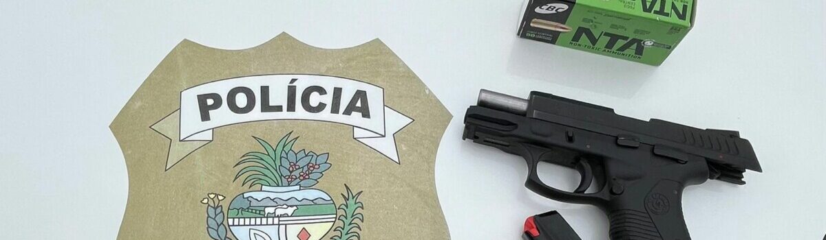 PCGO cumpre mandado de busca e apreende arma de fogo, em Itapaci, com investigado por violência doméstica