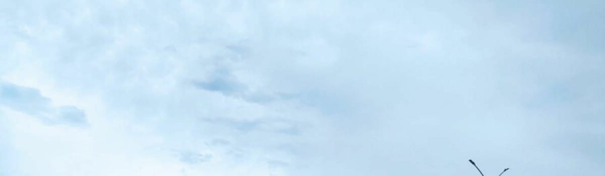 PCGO deflagra Operação Delivery Zero e prende oito pessoas por tráfico de drogas em Santa Helena de Goiás e Rio Verde