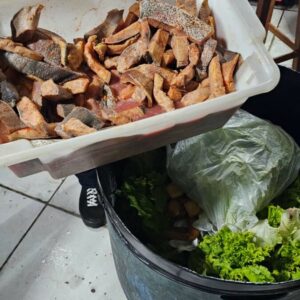 PCGO deflagra Operação “Escama de Peixe” e investiga tráfico de drogas em bar de Goiânia