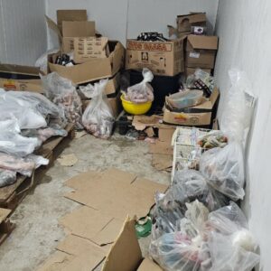 PCGO deflagra Operação “Escama de Peixe” e investiga tráfico de drogas em bar de Goiânia