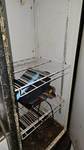 PCGO deflagra Operação “Escama de Peixe” e investiga tráfico de drogas em bar de Goiânia