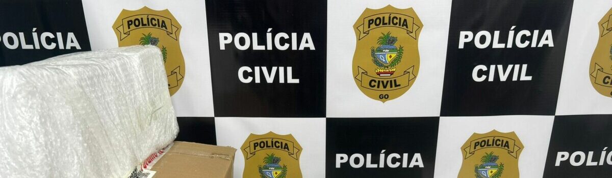 PCGO deflagra operação e prende mulher por armazenar e remeter ilegalmente canetas emagrecedoras a outros estados