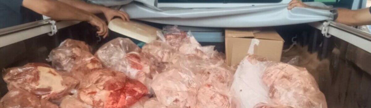 PCGO desarticula abatedouro clandestino e apreende grande quantidade de carne irregular em Niquelândia