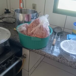 PCGO desarticula abatedouro clandestino e apreende grande quantidade de carne irregular em Niquelândia