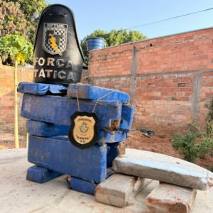 PCGO e PMGO apreendem drogas que estavam enterradas em uma casa de Caldas Novas