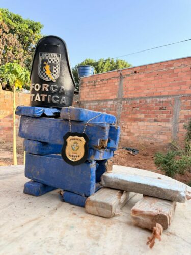 PCGO e PMGO apreendem drogas que estavam enterradas em uma casa de Caldas Novas