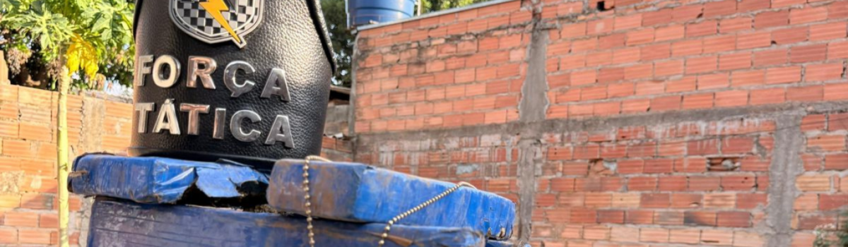 PCGO e PMGO apreendem drogas que estavam enterradas em uma casa de Caldas Novas