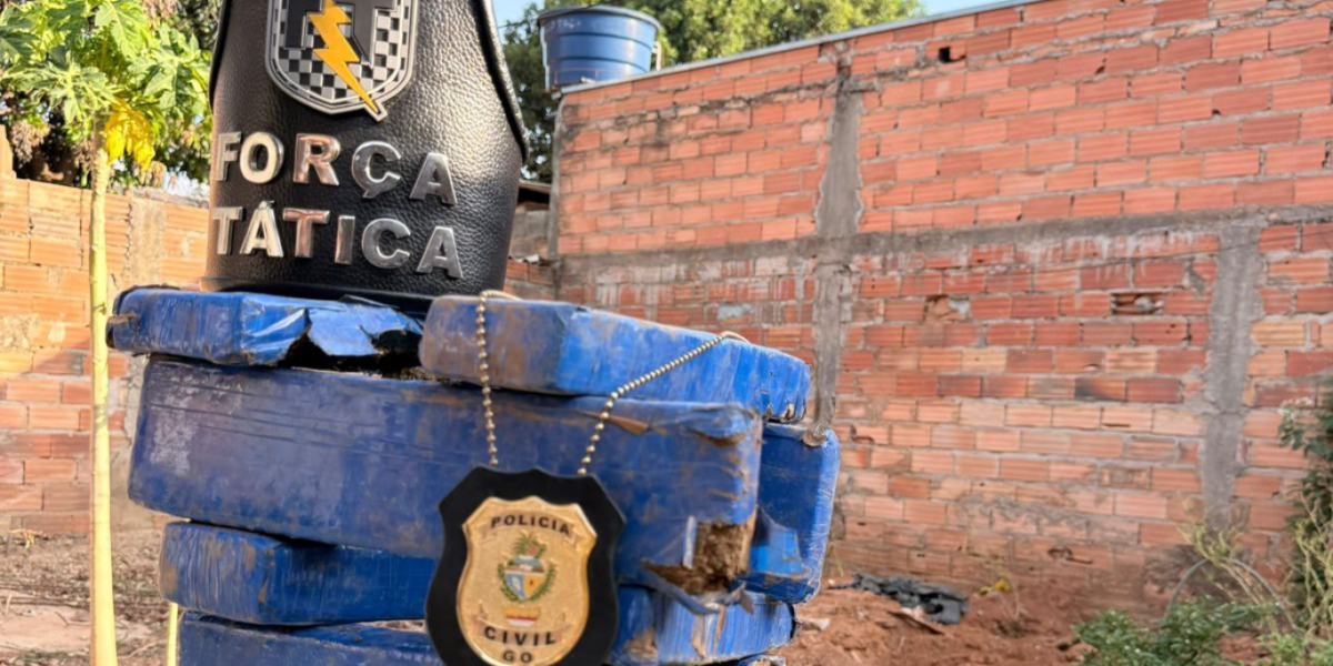 PCGO e PMGO apreendem drogas que estavam enterradas em uma casa de Caldas Novas