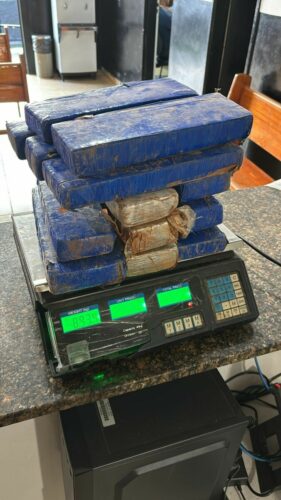 PCGO e PMGO apreendem drogas que estavam enterradas em uma casa de Caldas Novas