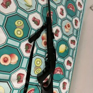 PCGO e PMGO cumprem mandado e apreendem arma e mais de 500 munições em São Domingos