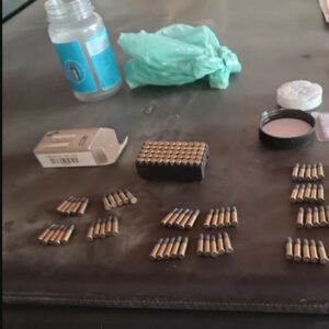 PCGO e PMGO cumprem mandado e apreendem arma e mais de 500 munições em São Domingos