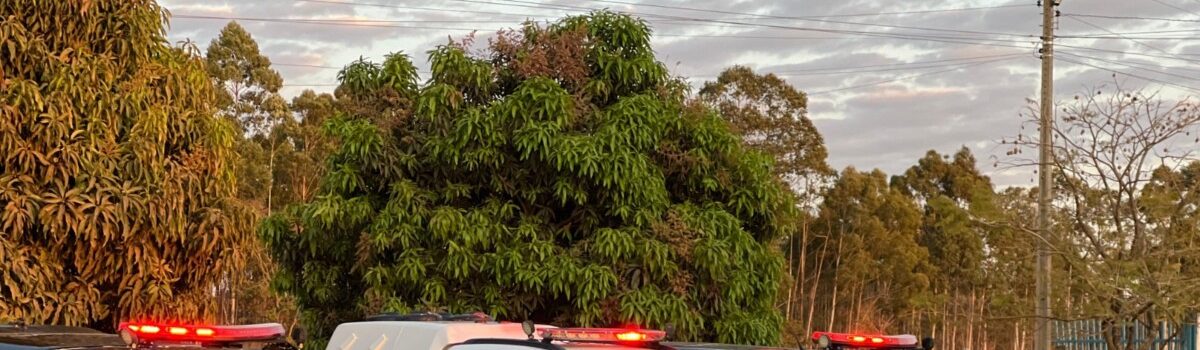 PCGO e PMGO recuperam caminhonete de luxo que havia sido furtada em MG