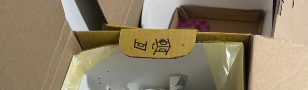 PCGO e Vigilância Sanitária fecham clínica de estética e prendem dona por exercício ilegal da medicina