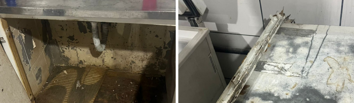 PCGO e Vigilância Sanitária interditam buffet clandestino em Goiânia