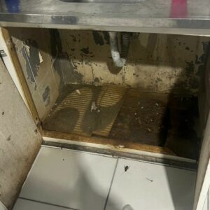 PCGO e Vigilância Sanitária interditam buffet clandestino em Goiânia