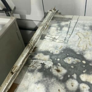 PCGO e Vigilância Sanitária interditam buffet clandestino em Goiânia