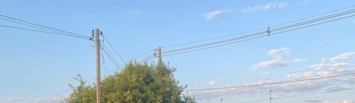 PCGO e forças de segurança apreendem bebidas vencidas há mais de dois anos em Posse