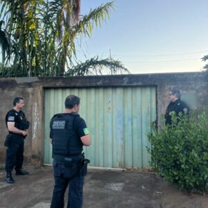 PCGO em apoio a PCRS deflagra Operação Mímesis contra grupo especializado em golpes de falsos leilões virtuais