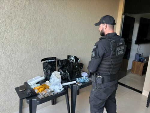 PCGO em apoio a PCRS deflagra Operação Mímesis contra grupo especializado em golpes de falsos leilões virtuais