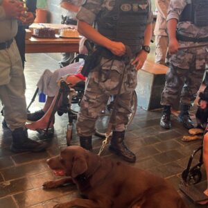 PCGO participa do “Dia D” da Operação Virtude 2025 e reforça proteção à pessoa idosa