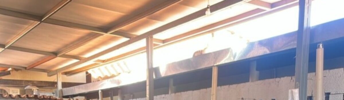 PCGO participa do “Dia D” da Operação Virtude 2025 e reforça proteção à pessoa idosa