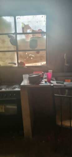 PCGO prende homem por manter esposa em cárcere privado e praticar violência psicológica em Padre Bernardo