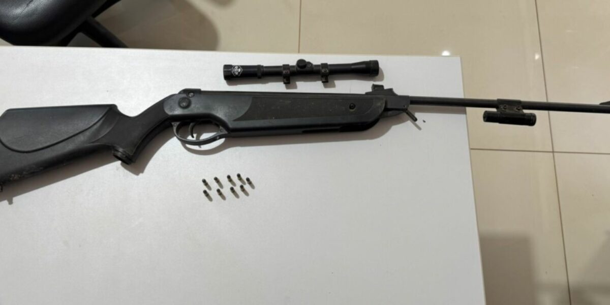 PCGO prende homem por posse ilegal de arma de fogo em Silvânia