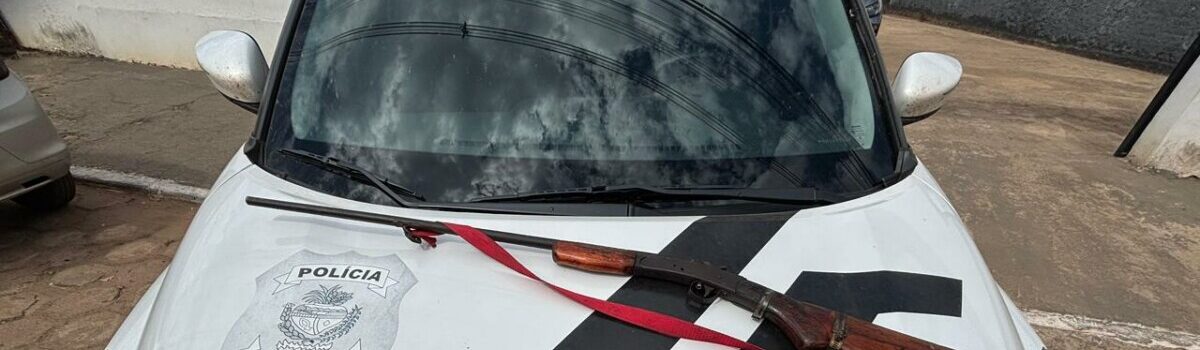 PCGO prende homem por posse ilegal de arma de fogo em propriedade rural de Crixás